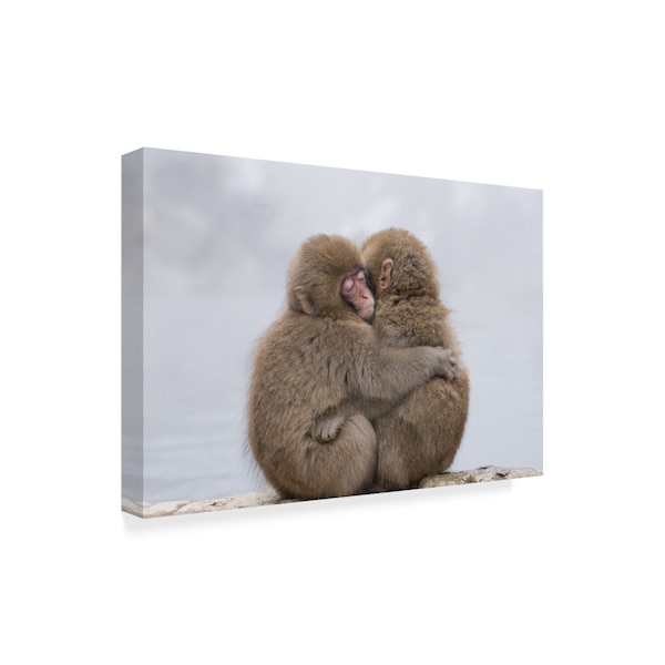 Takeshi Marumoto 'Forever Monkey Friends' Canvas Art,16x24